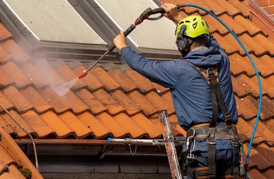 Démoussage et hydrofuge de toiture à Lombrès